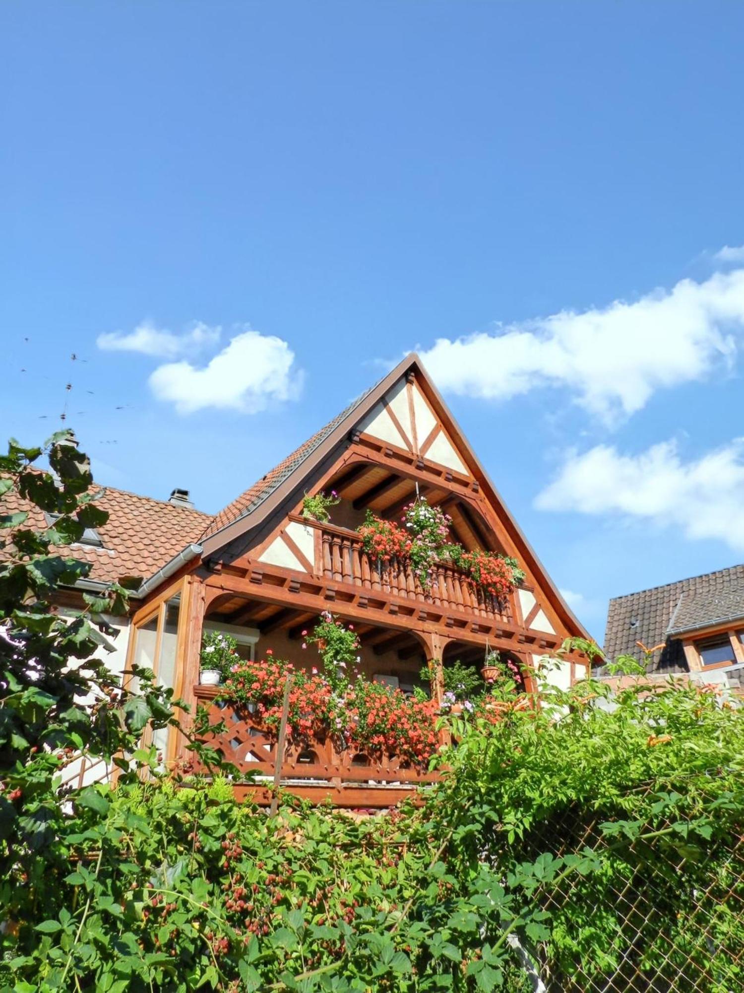 Maison Charmante Avec Vue Sur La Montagne A Triembach-Au-Val 外观 照片